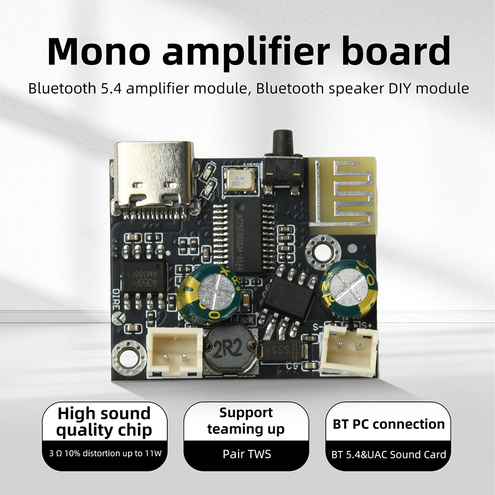 BPM13 Plus 6.2W Mono Class D A - Audio Music Mp3 Free review and price
