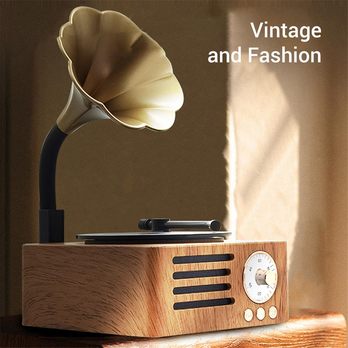 QA88X Retro Gramophone Shape B - Audio Music Box review and price