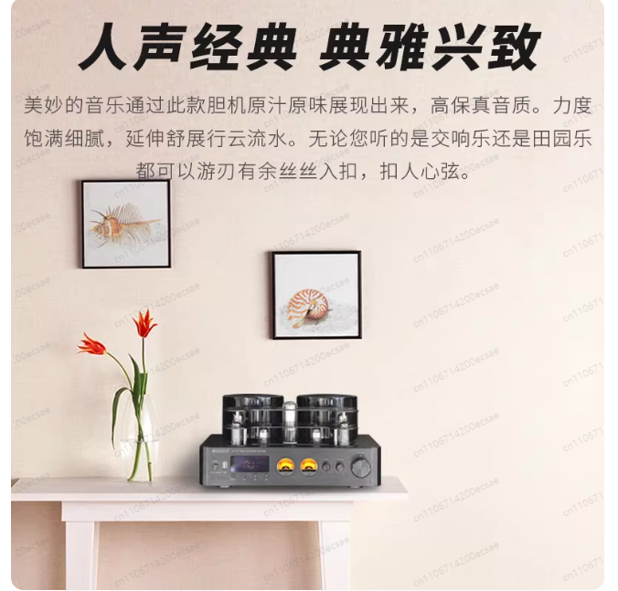 220V 400W * 2 High Fidelity Wi - Audio Music Youtube review and price