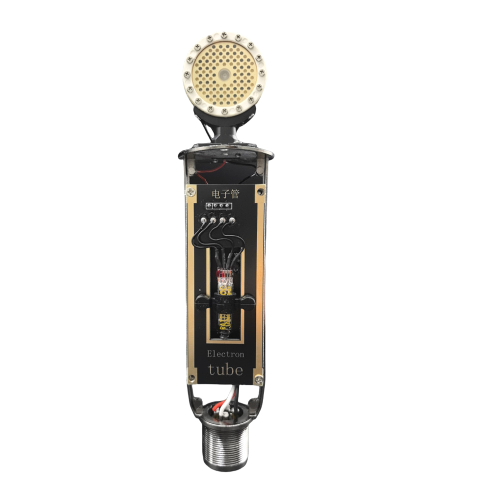 DIYU87 professional recording  - Audio Music Youtube review and price